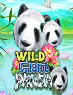 เครดิต ทดลอง เล่น เกมสล็อตจาก PG Soft ที่น่าสนใจ